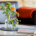 Lieblingsplatz By Interhome Vakantiehuis Zierow